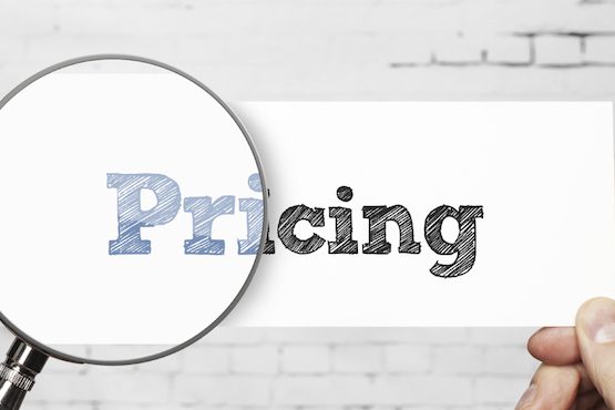 How do we price for our services?