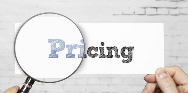 How do we price for our services?